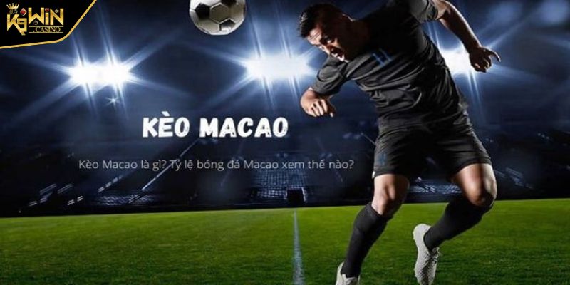 Kèo Ma Cao K9Win Trải Nghiệm Hình Thức Cược Hấp Dẫn 2 Kèo Ma Cao K9Win là gì?